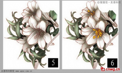 Photoshop洿ʥŮ