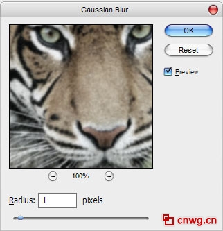 Photoshop制作照片帆布纹理效果