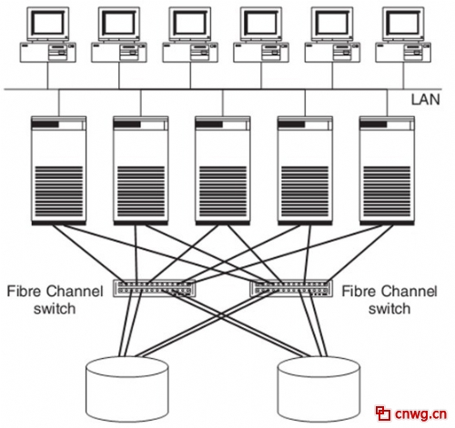 ͼ1 (LAN)洢(SAN)